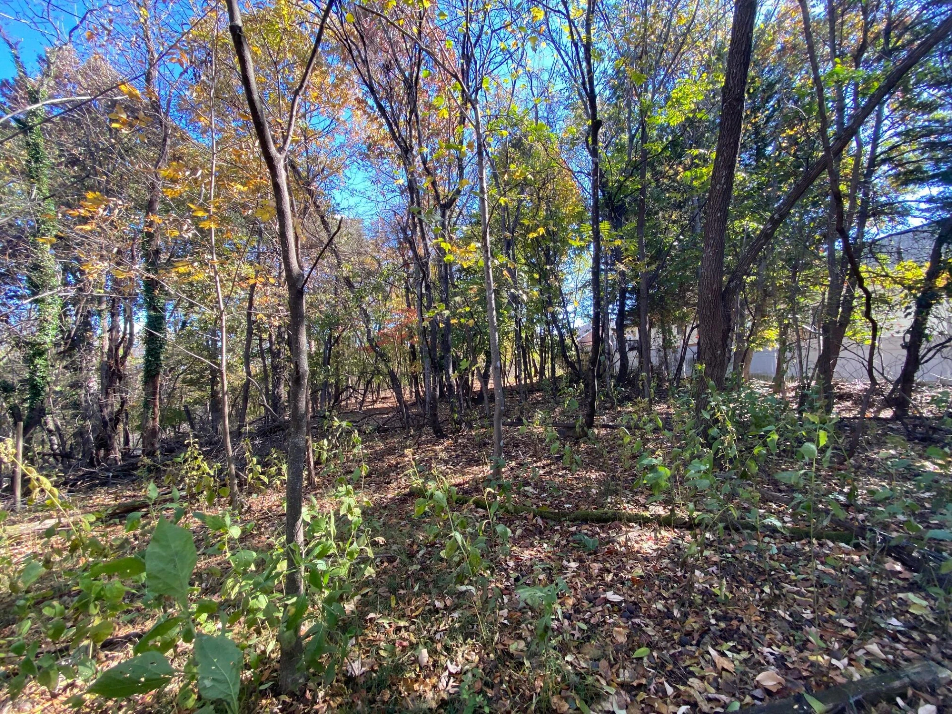 0 Quail LN - Photo 12