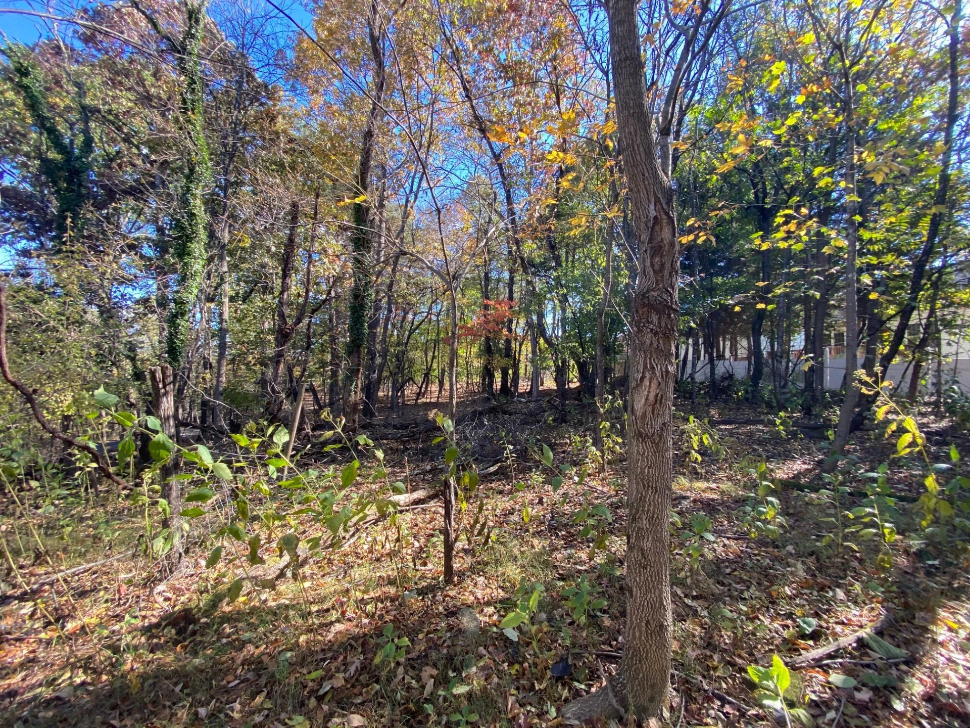 0 Quail LN - Photo 13