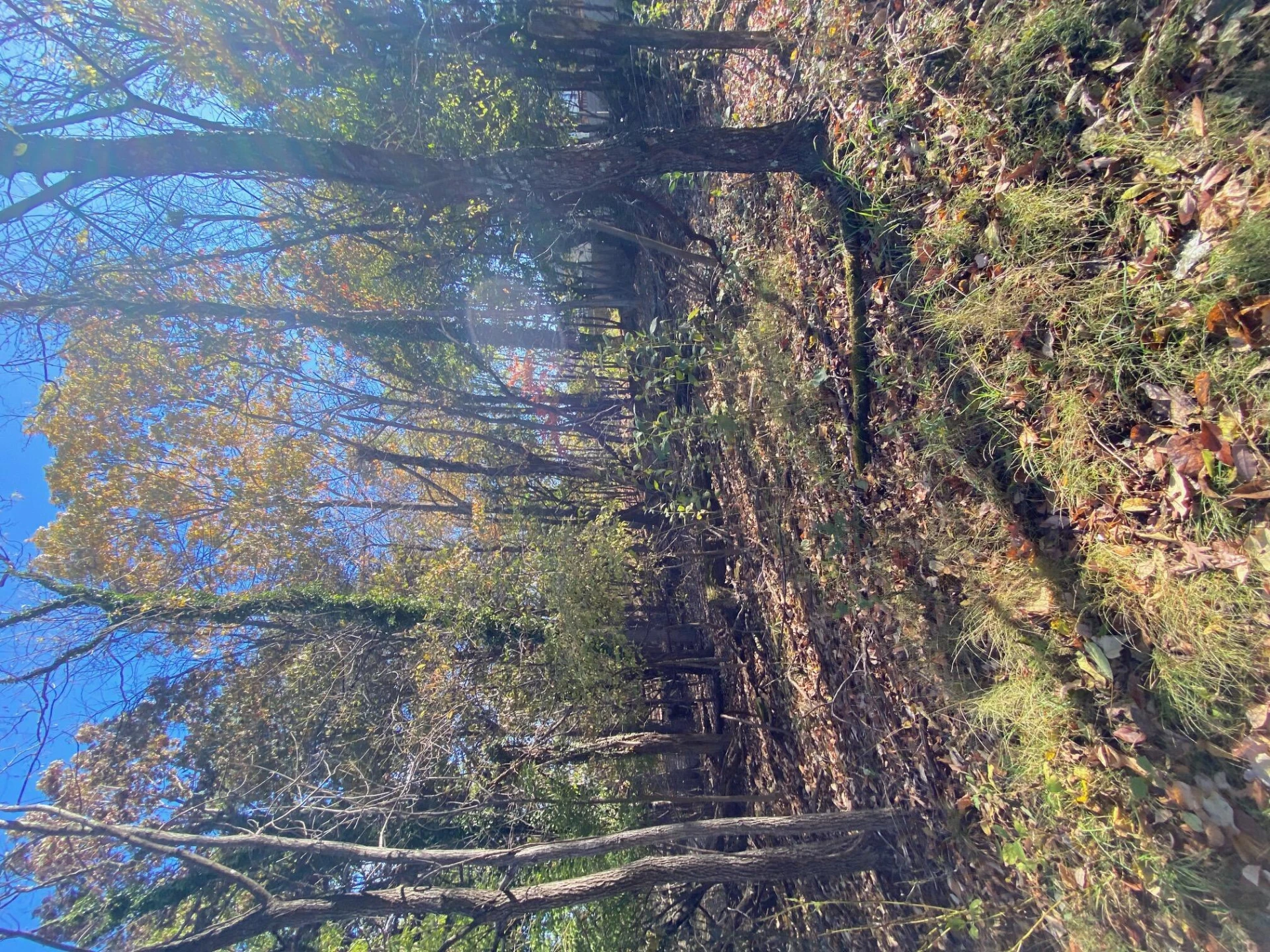 0 Quail LN - Photo 14