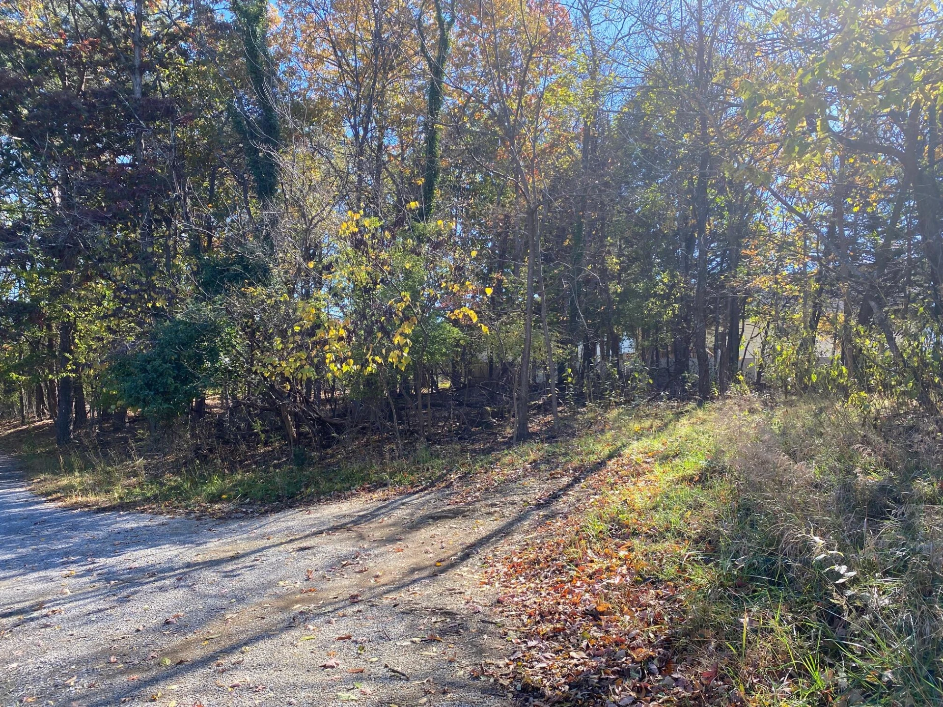 0 Quail LN - Photo 18