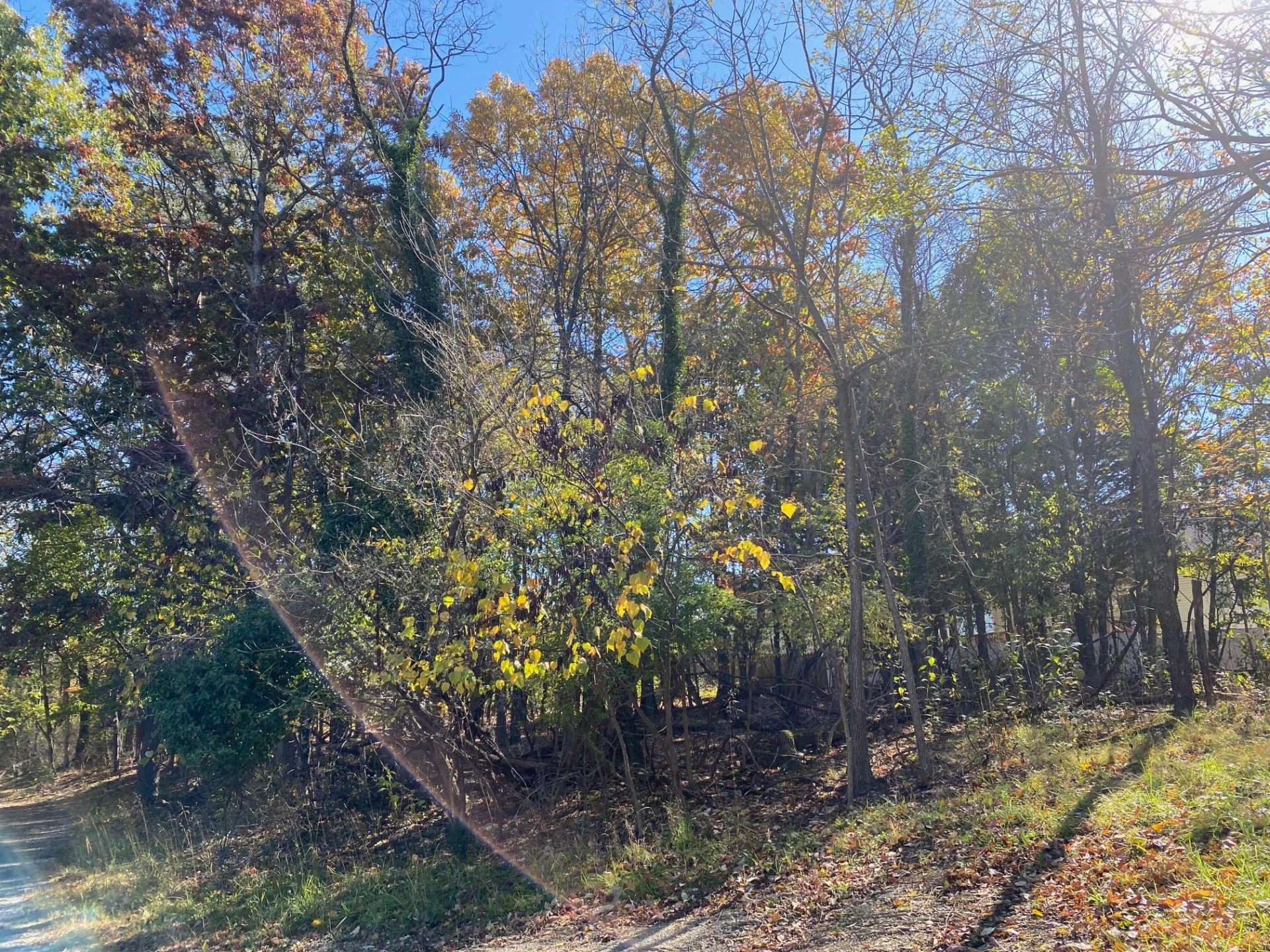 0 Quail LN - Photo 19