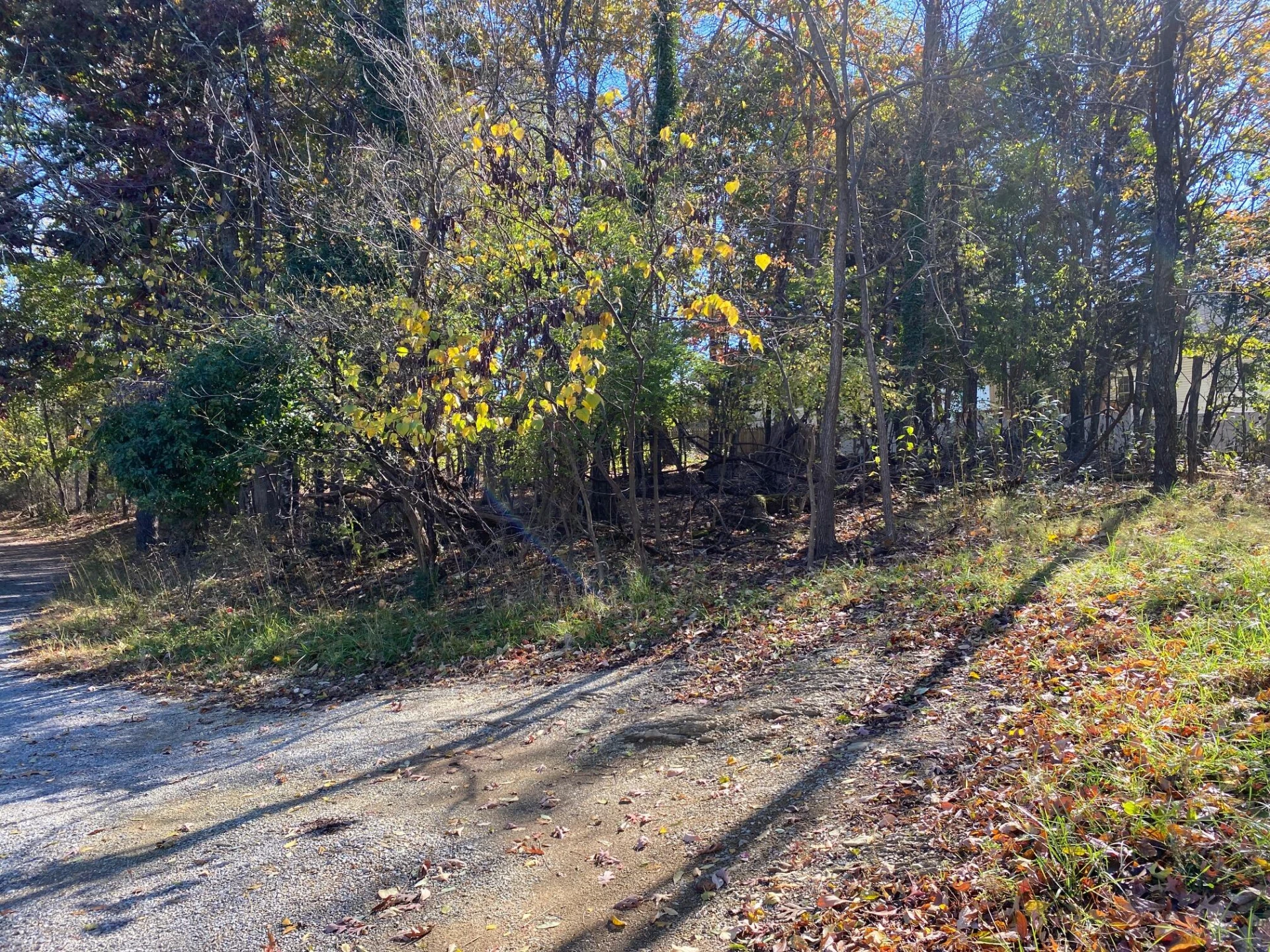 0 Quail LN - Photo 2