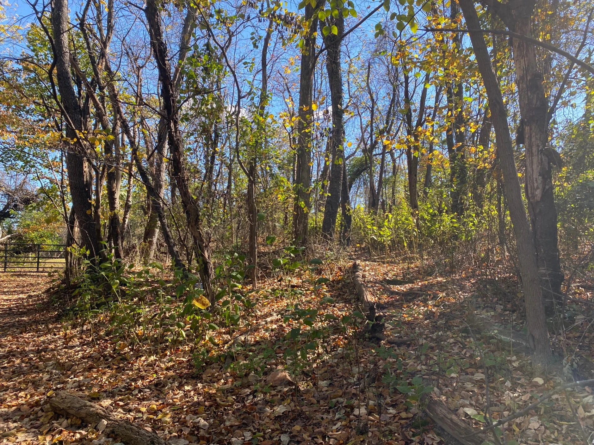0 Quail LN - Photo 3