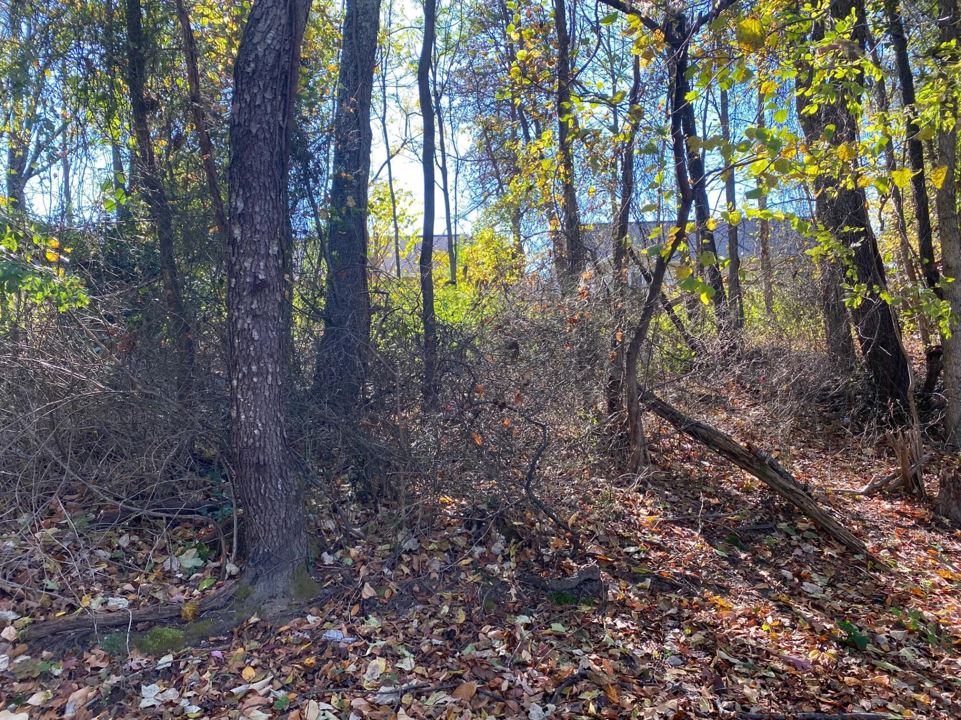 0 Quail LN - Photo 6