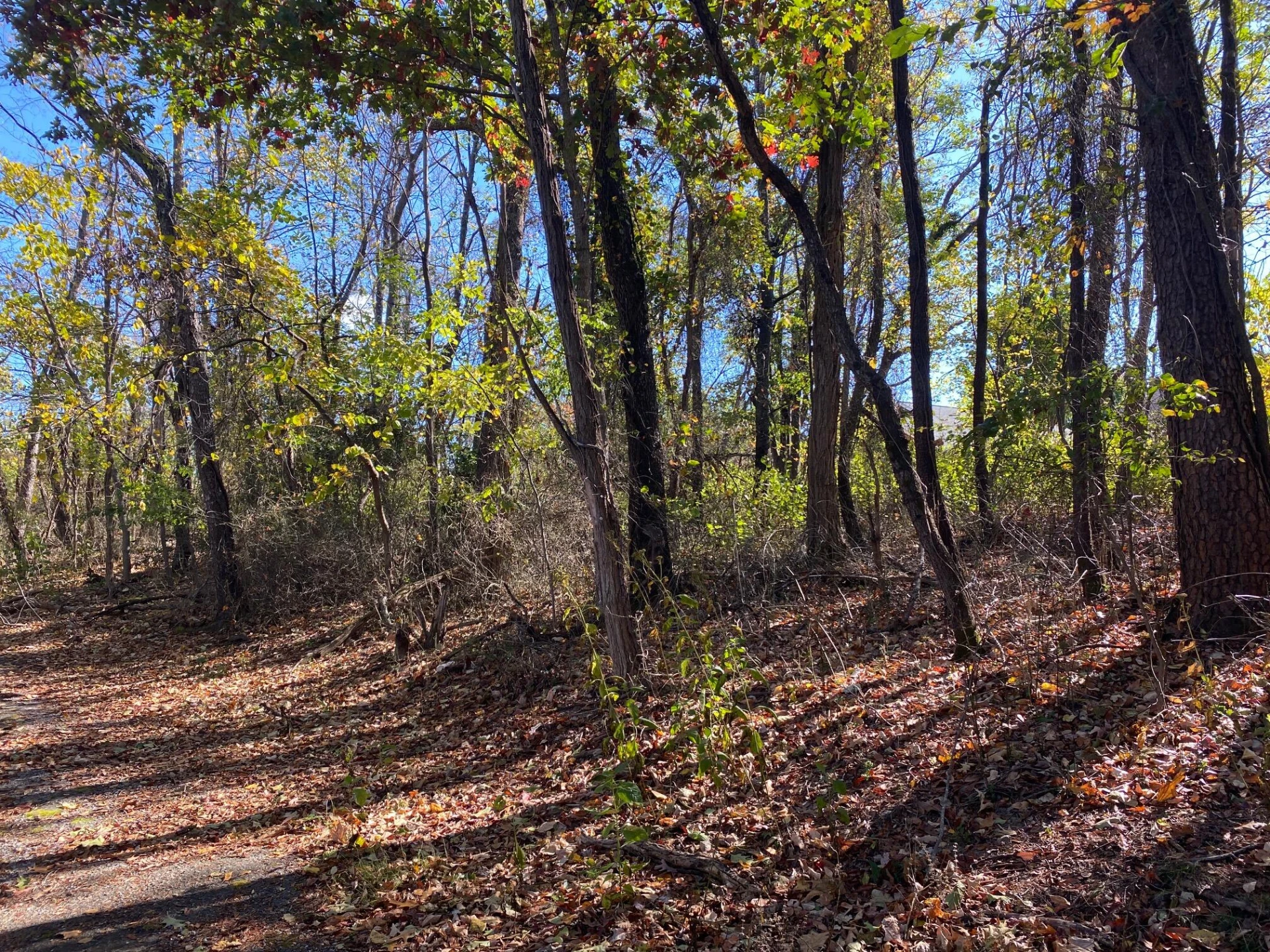 0 Quail LN - Photo 8