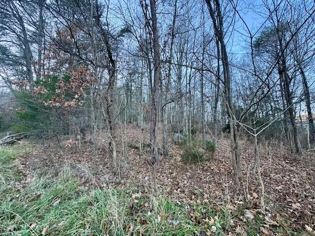 0 Cumberland Gap RD