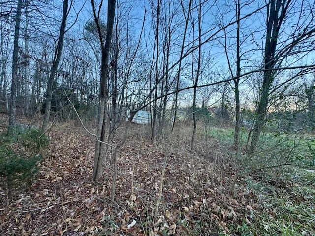 0 Cumberland Gap RD - Photo 2