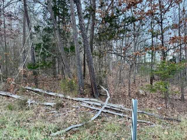 0 Cumberland Gap RD - Photo 5