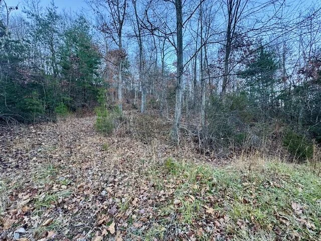 0 Cumberland Gap RD - Photo 7