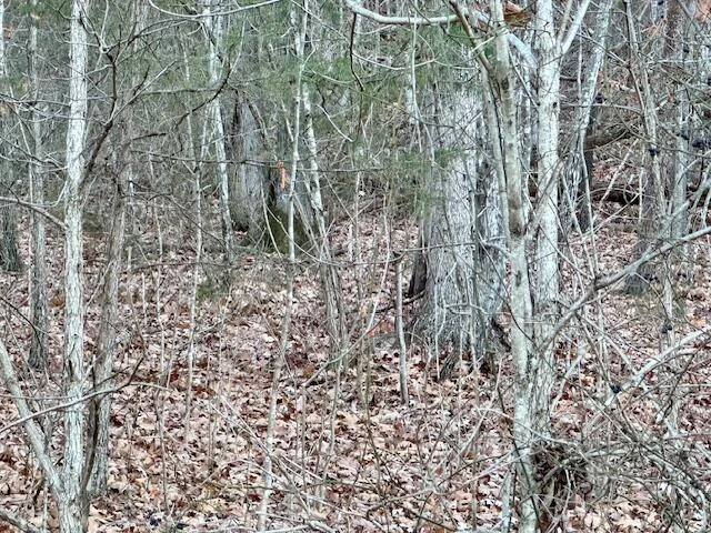 0 Cumberland Gap RD - Photo 8