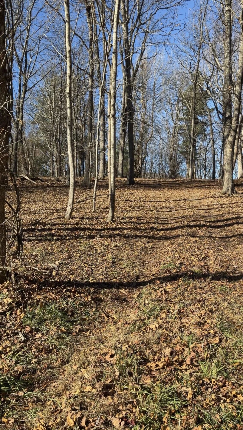 0 Overlook Ridge DR SE - Photo 10