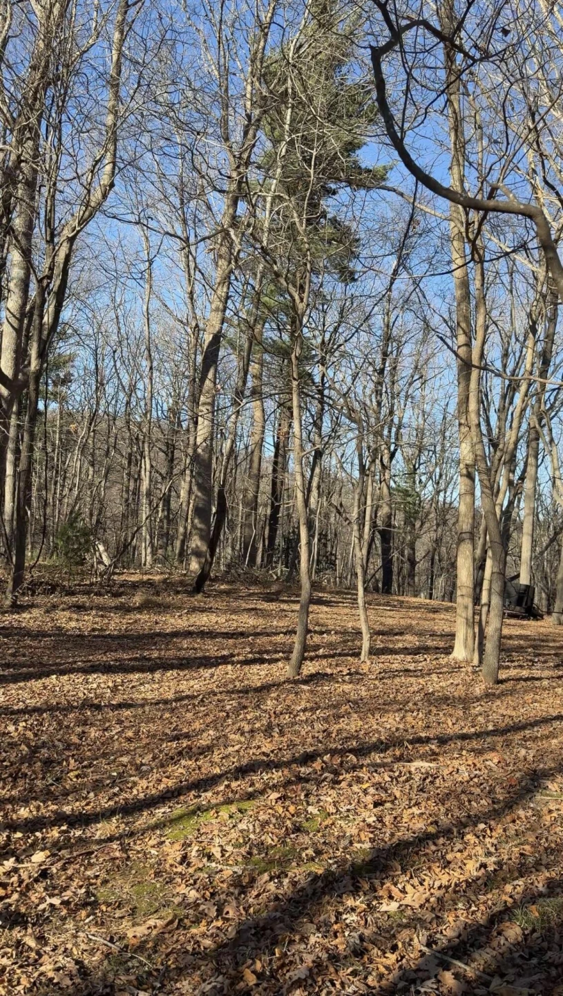 0 Overlook Ridge DR SE - Photo 11