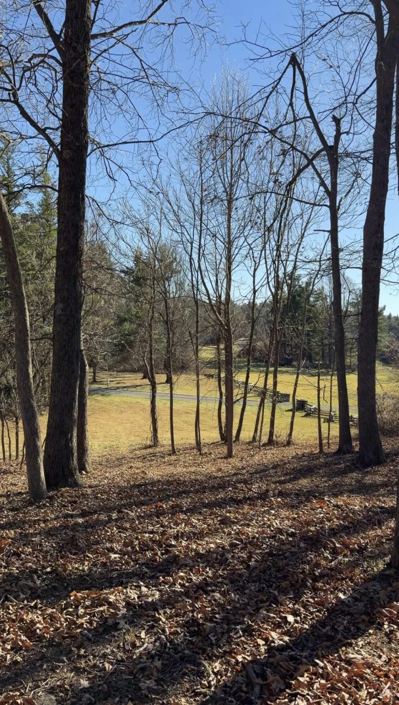 0 Overlook Ridge DR SE - Photo 12
