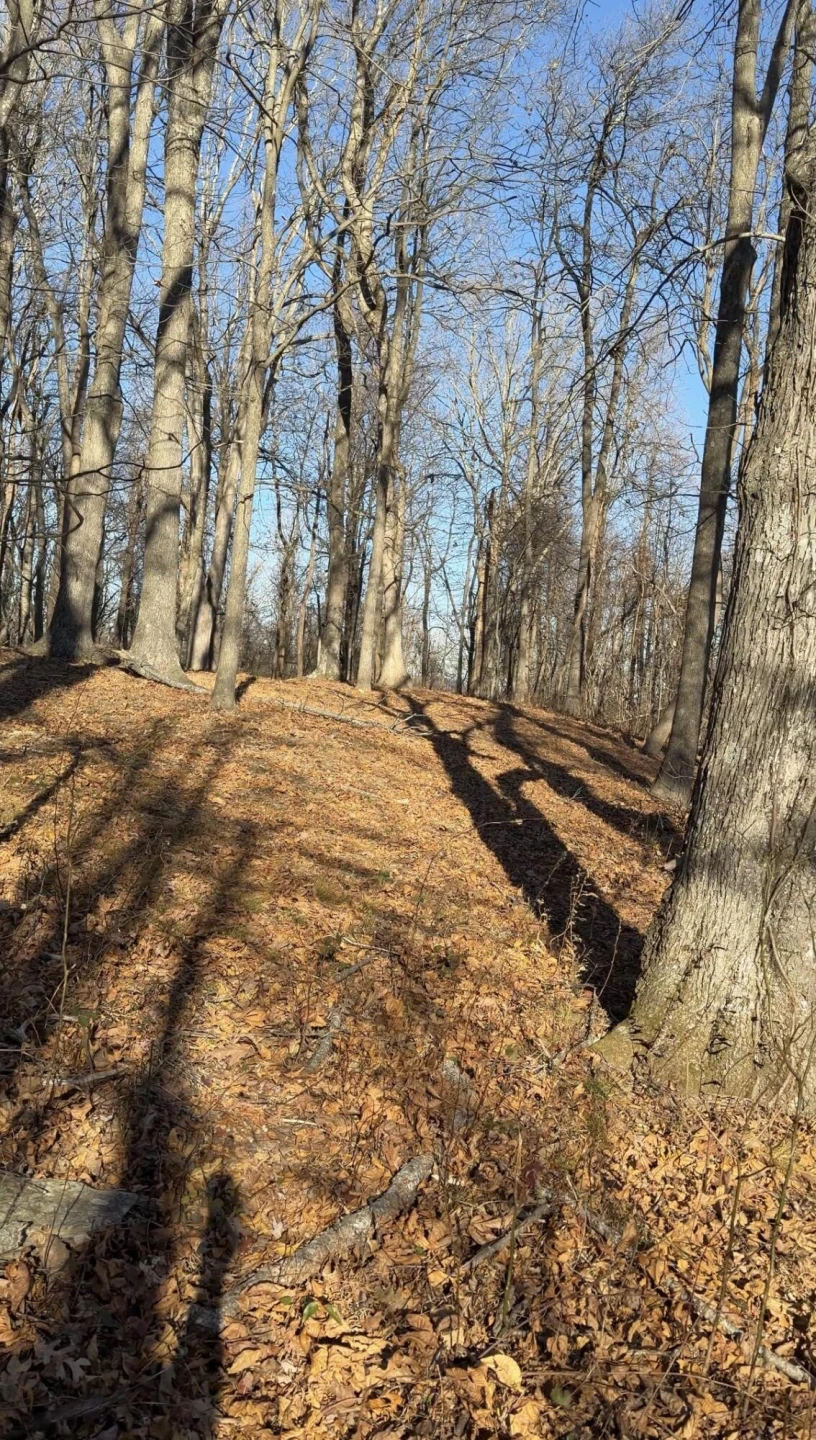 0 Overlook Ridge DR SE - Photo 13