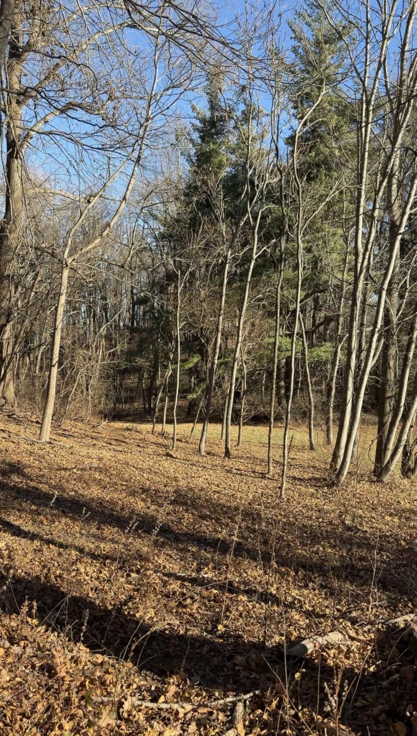 0 Overlook Ridge DR SE - Photo 14