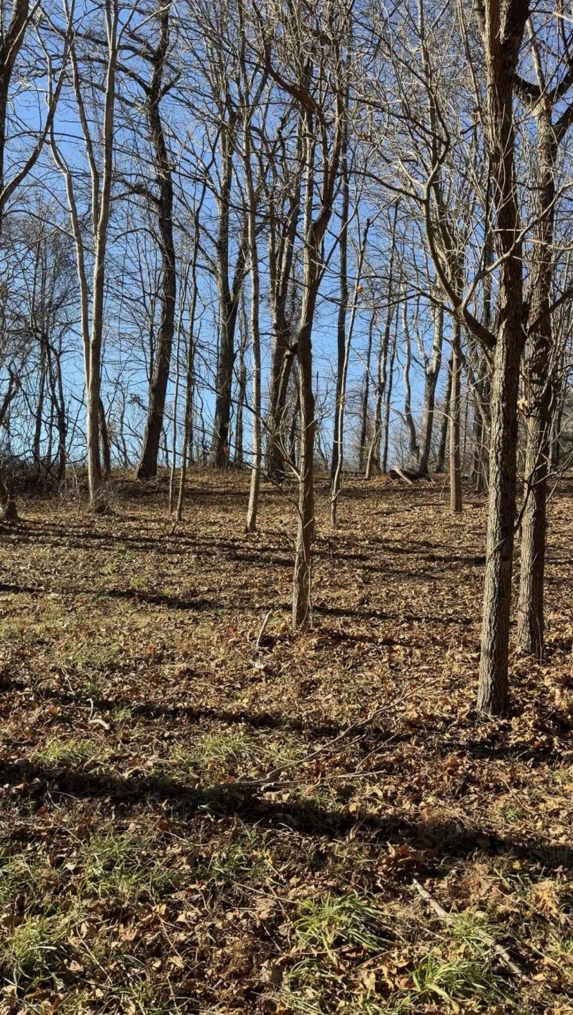 0 Overlook Ridge DR SE - Photo 16
