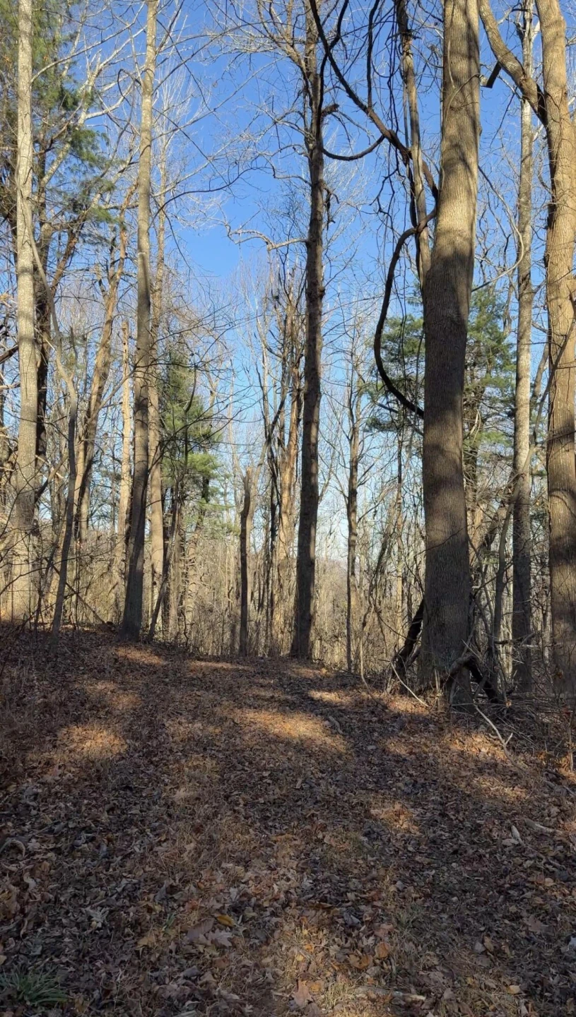 0 Overlook Ridge DR SE - Photo 17