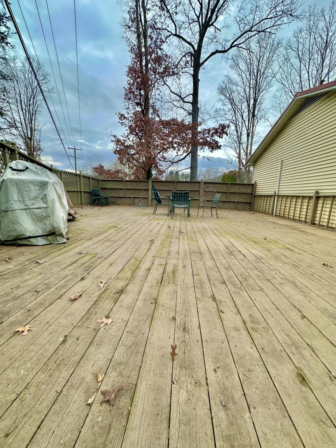 605 Chestnut ST - Photo 36