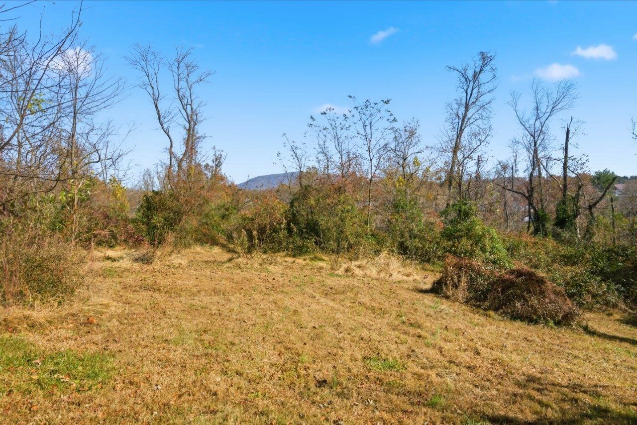 204 Douglas LN - Photo 49