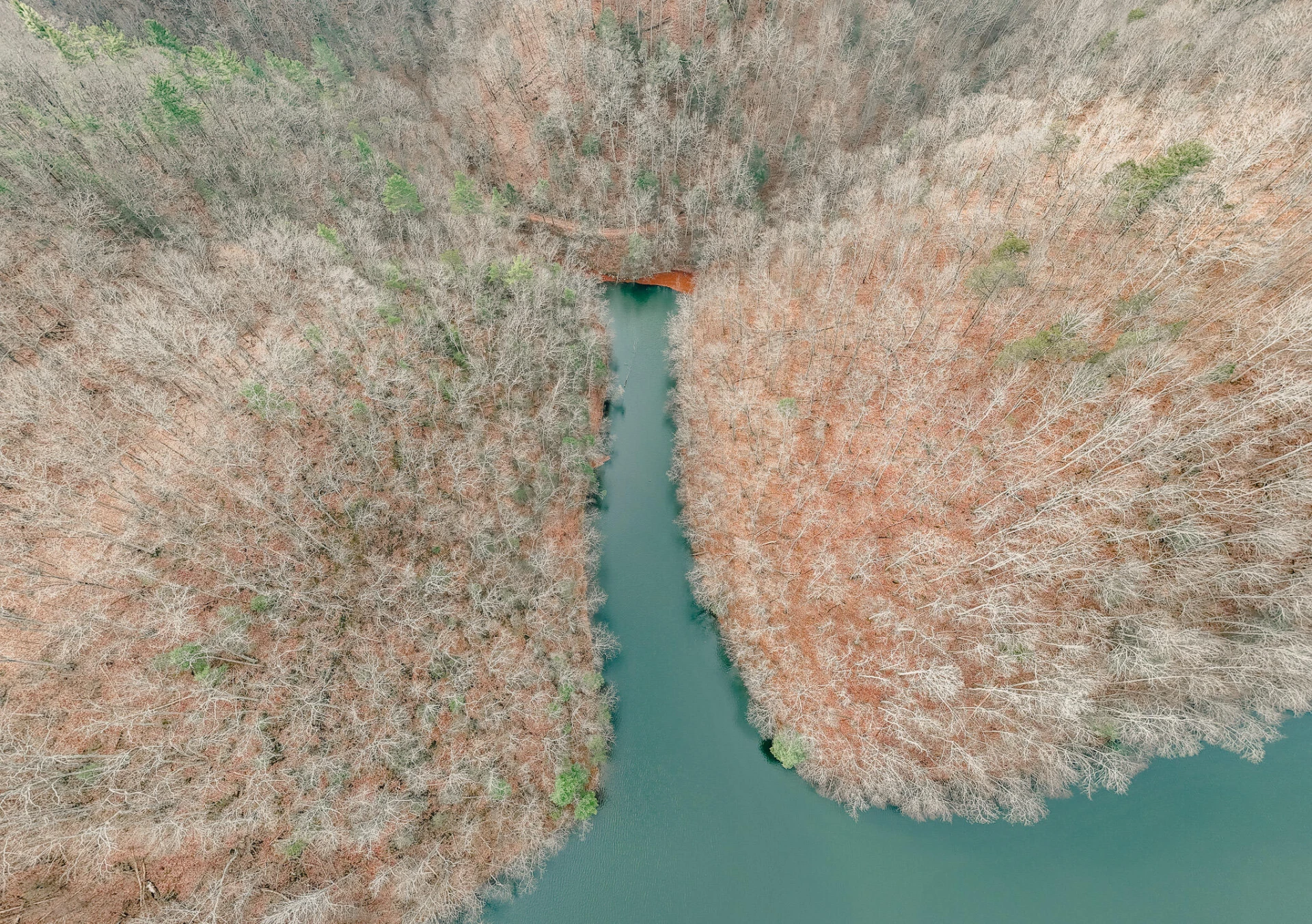 3909 Hodge Hollow RD