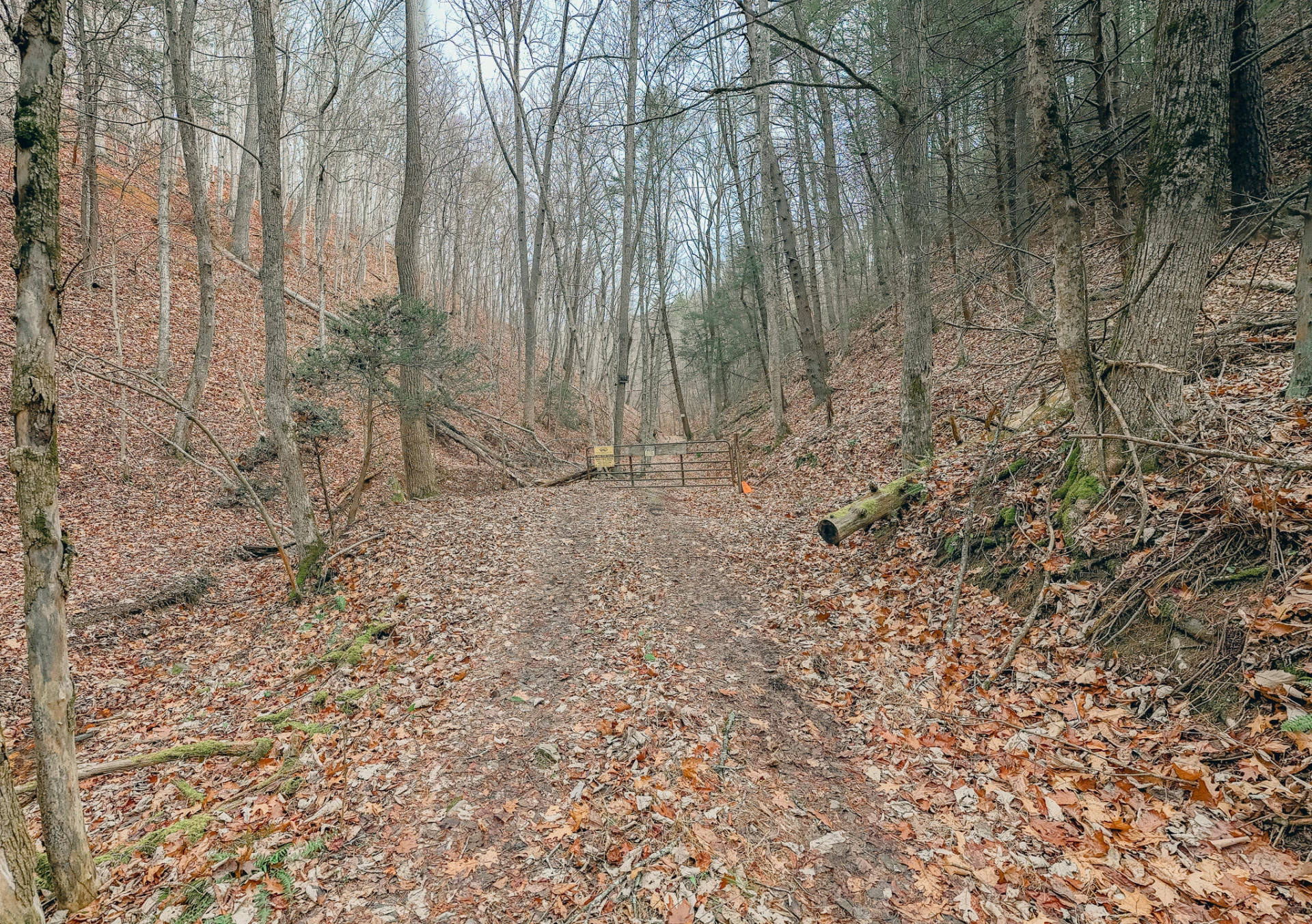 3909 Hodge Hollow RD - Photo 11