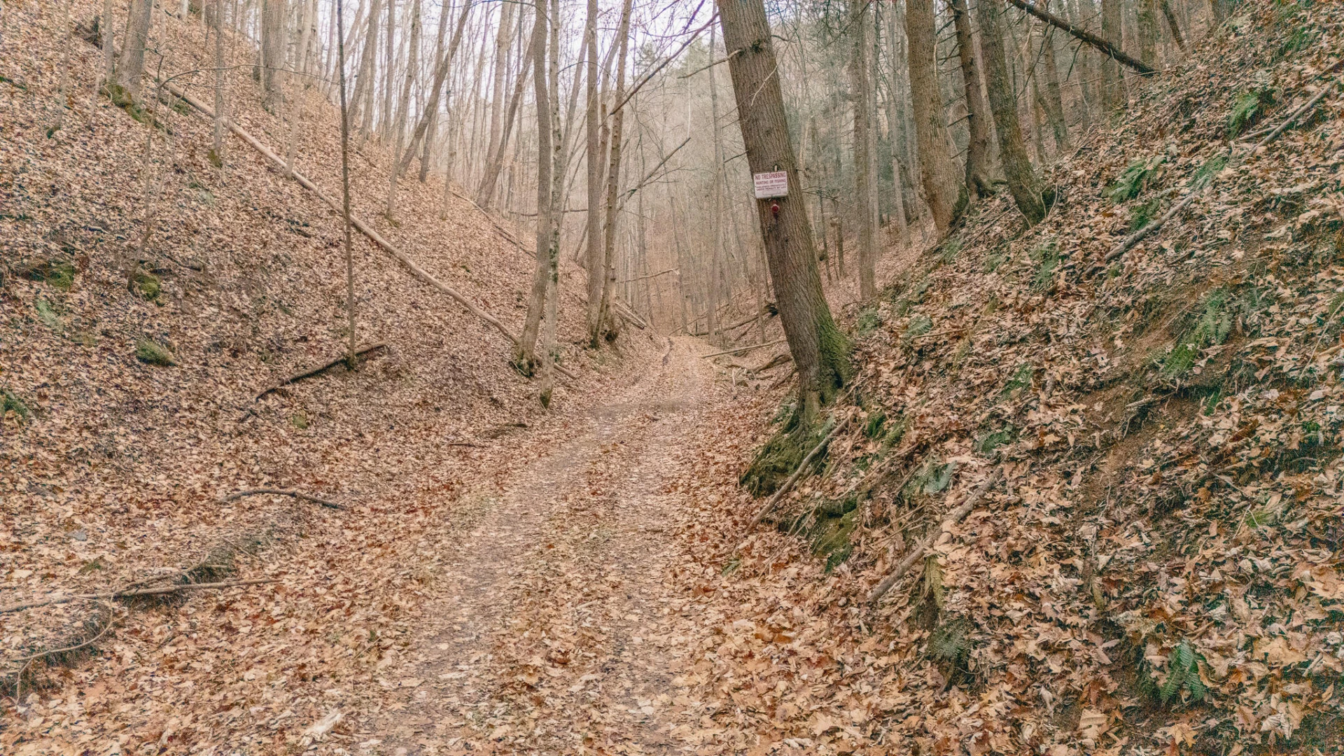 3909 Hodge Hollow RD - Photo 12