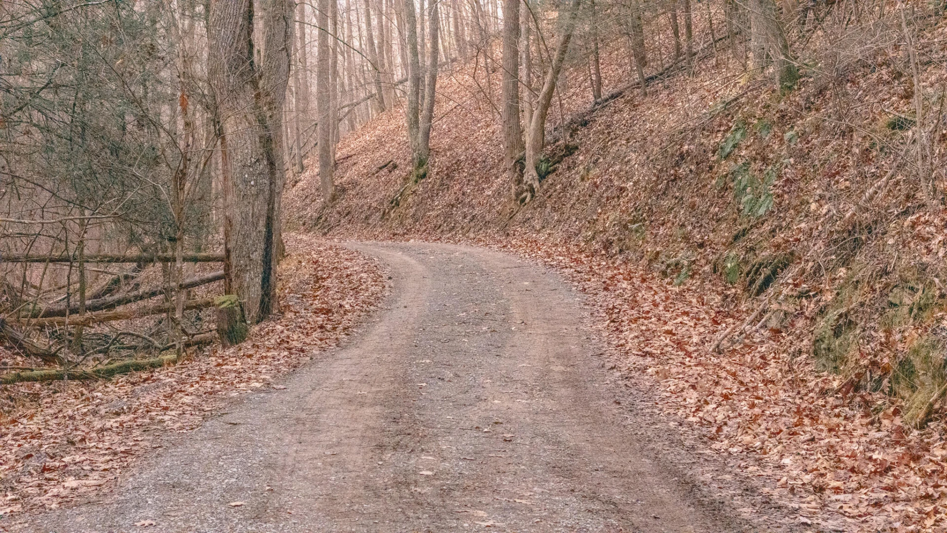 3909 Hodge Hollow RD - Photo 13