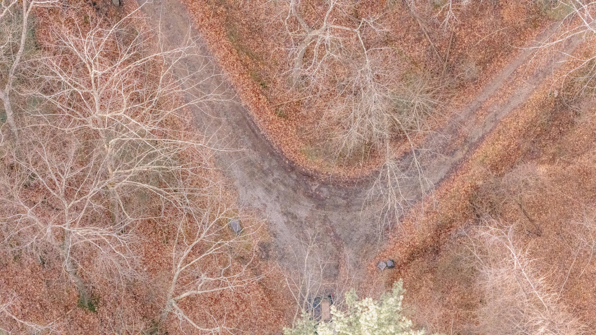 3909 Hodge Hollow RD - Photo 14