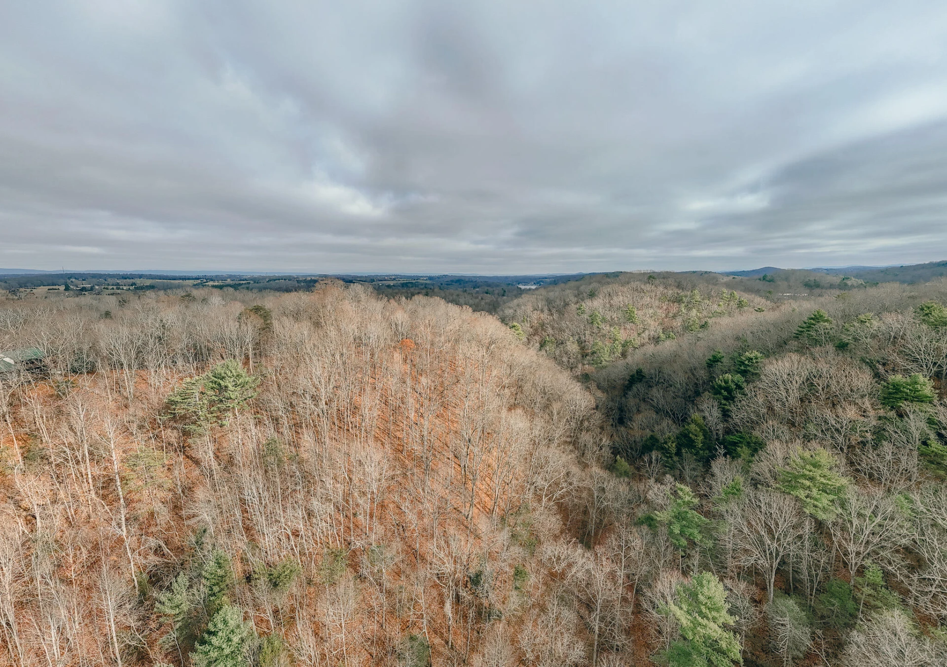 3909 Hodge Hollow RD - Photo 4
