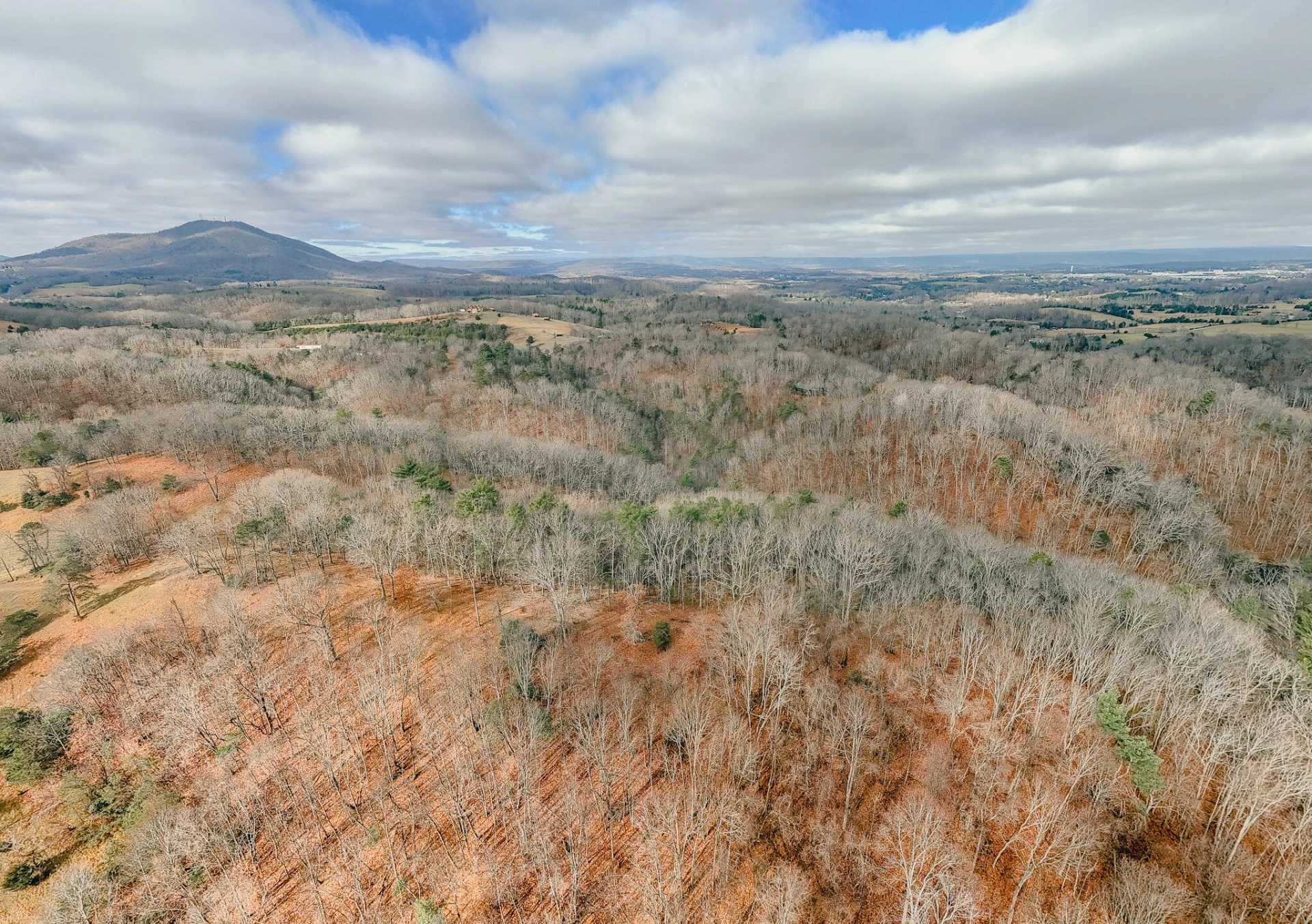 3909 Hodge Hollow RD - Photo 5