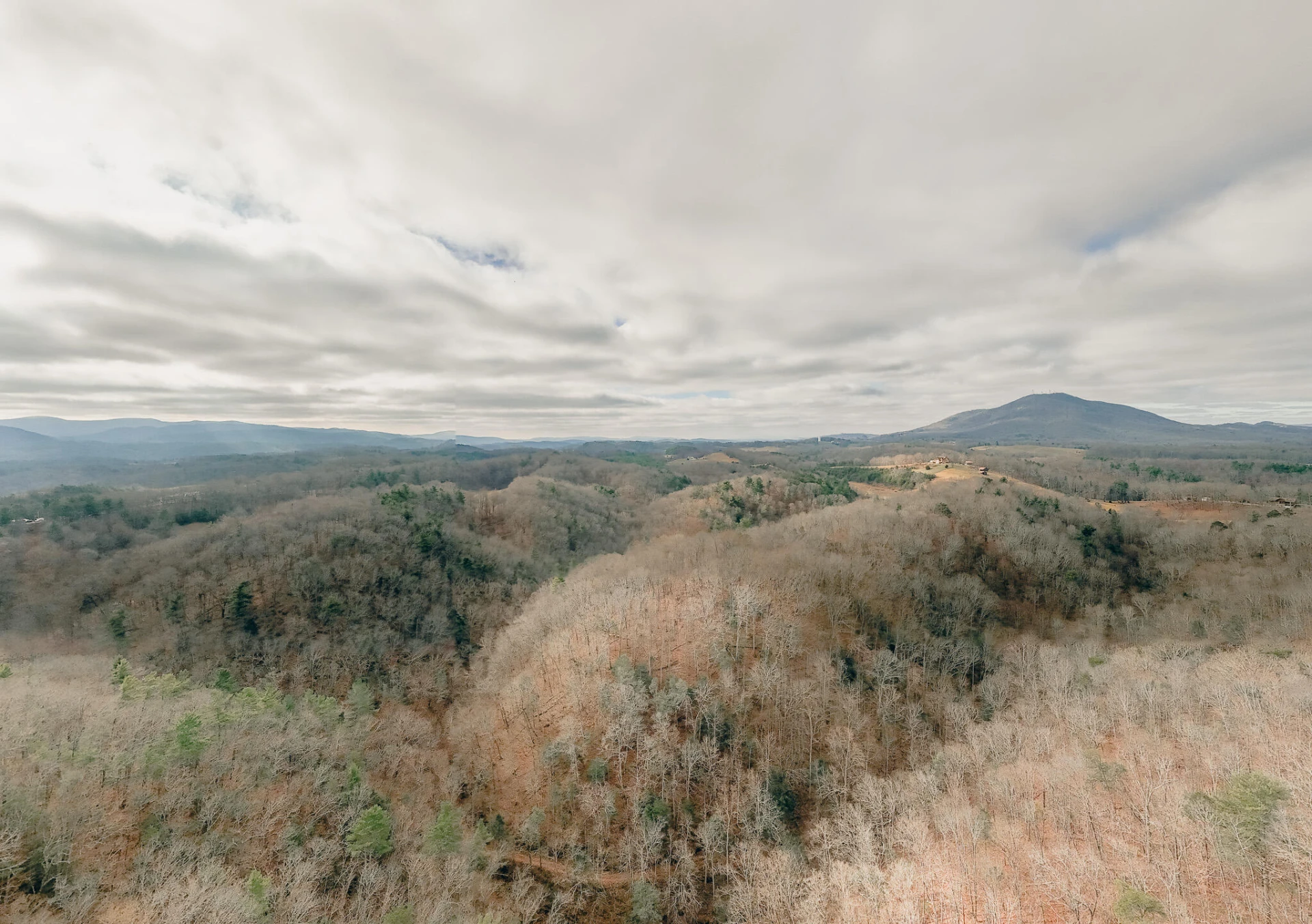 3909 Hodge Hollow RD - Photo 8