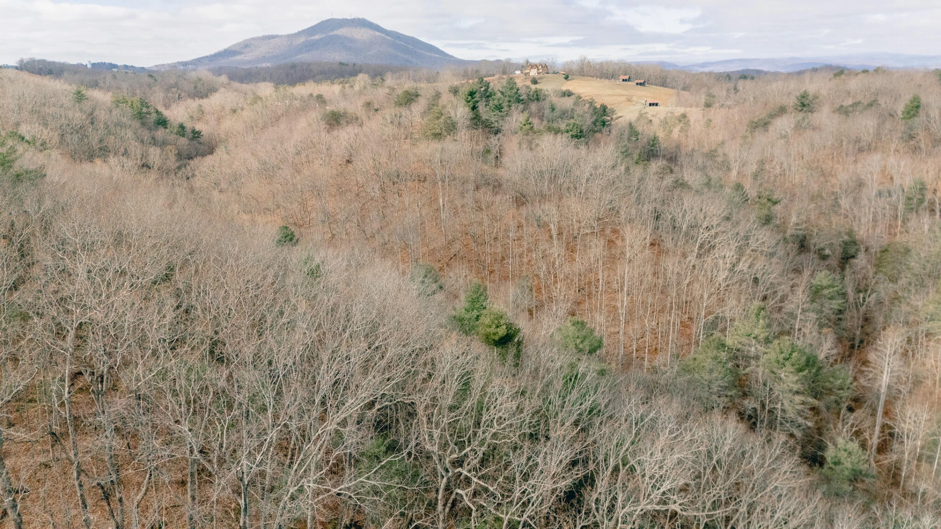 3909 Hodge Hollow RD - Photo 9