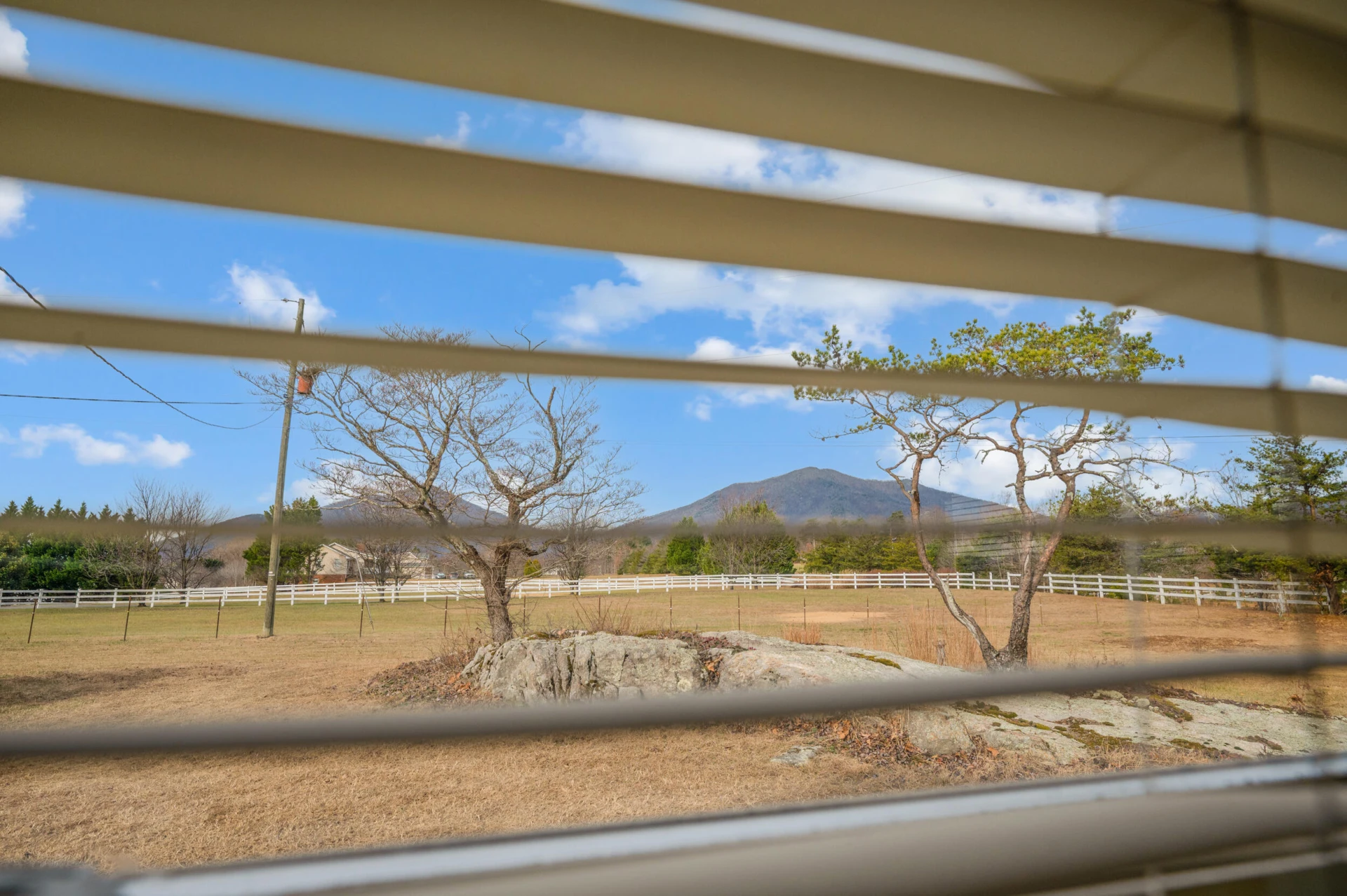 4224 Jopling RD - Photo 22
