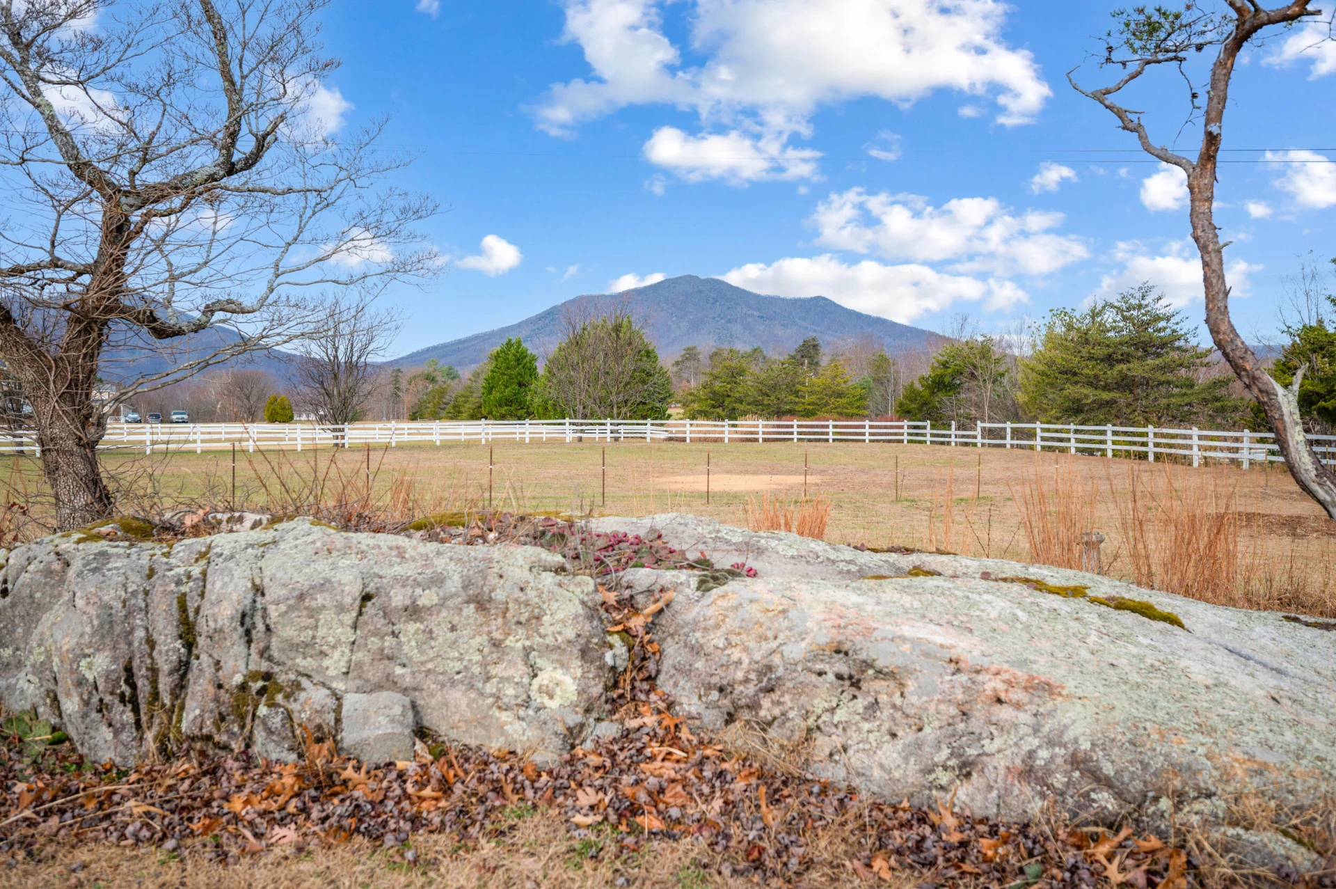 4224 Jopling RD - Photo 5