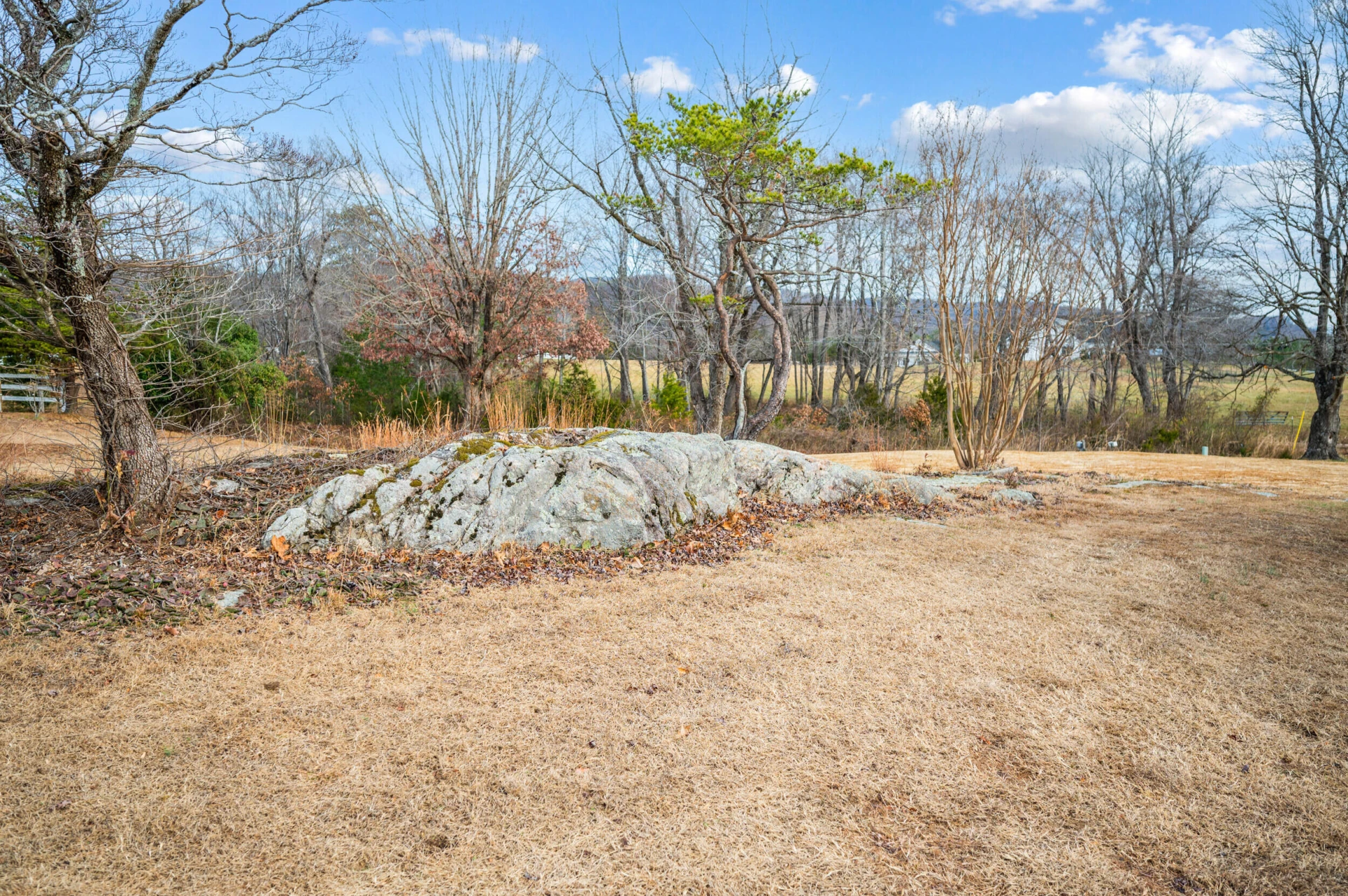 4224 Jopling RD - Photo 56