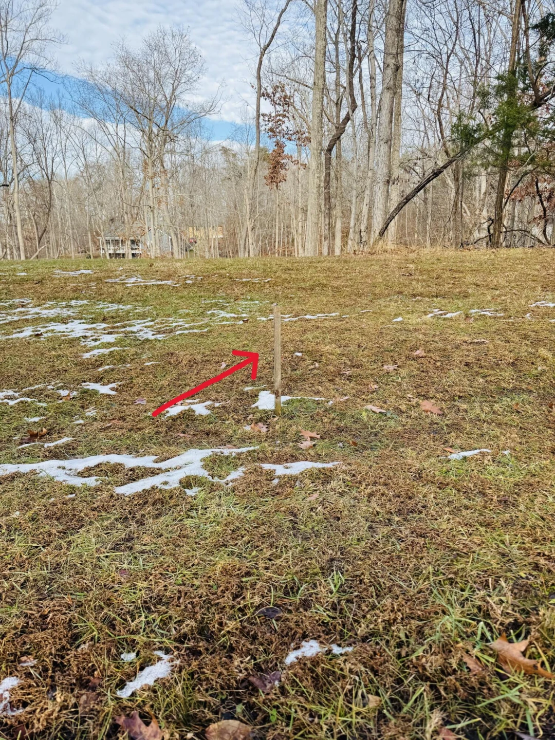 Lot 55 Ridgeway CT - Photo 3