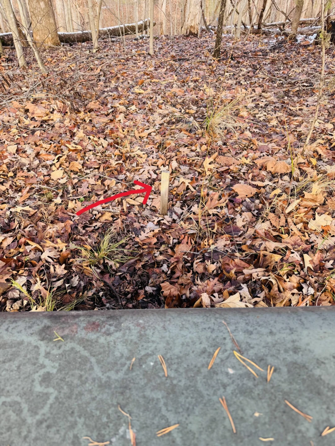Lot 55 Ridgeway CT - Photo 5
