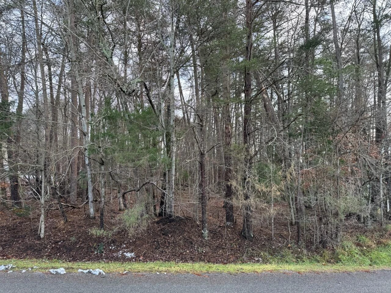 Lot 5 Highland Lake RD - Photo 3