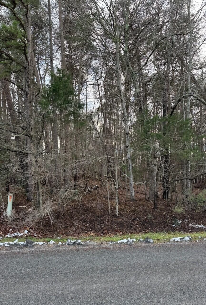Lot 5 Highland Lake RD - Photo 4