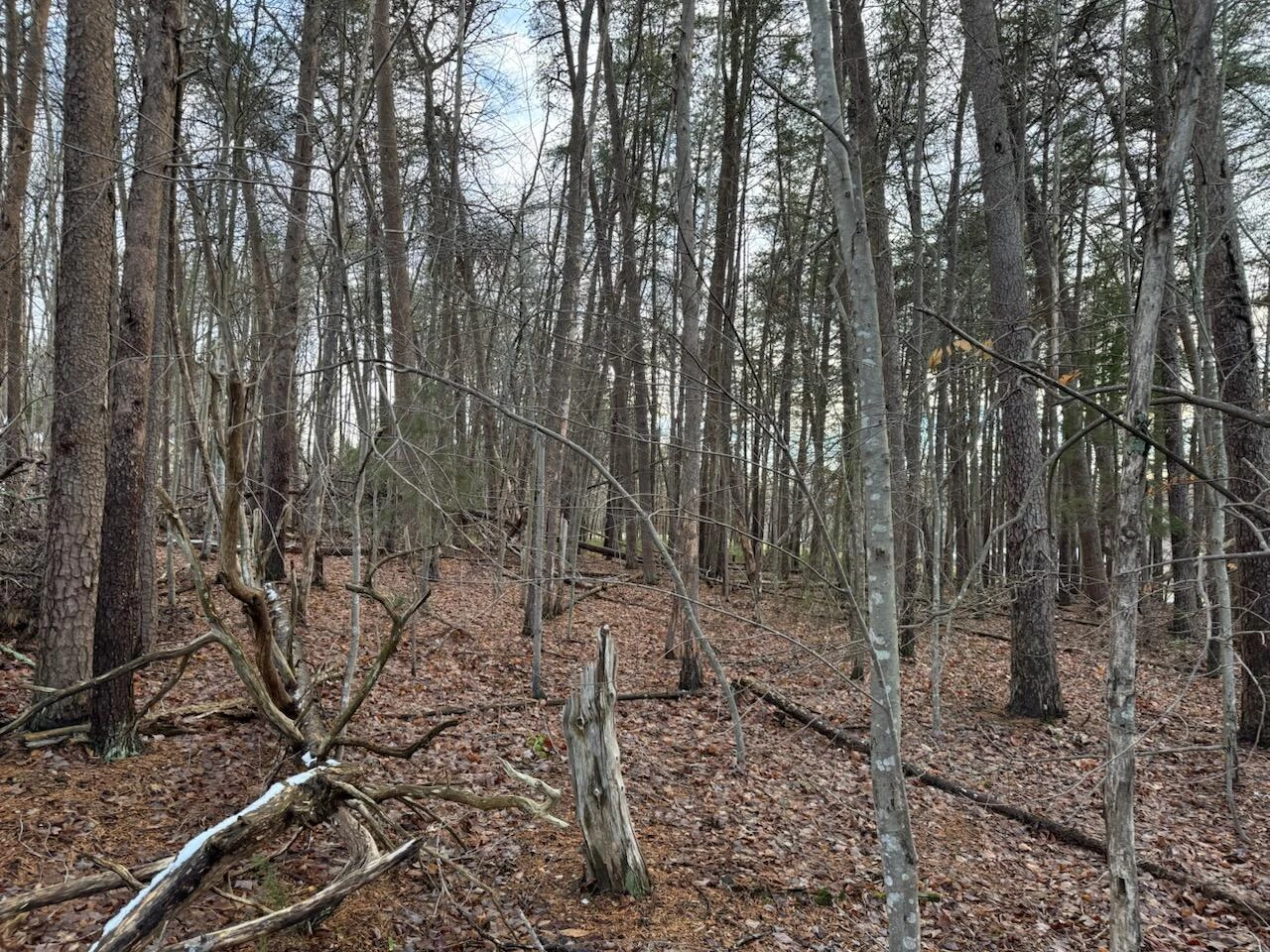 Lot 5 Highland Lake RD - Photo 5