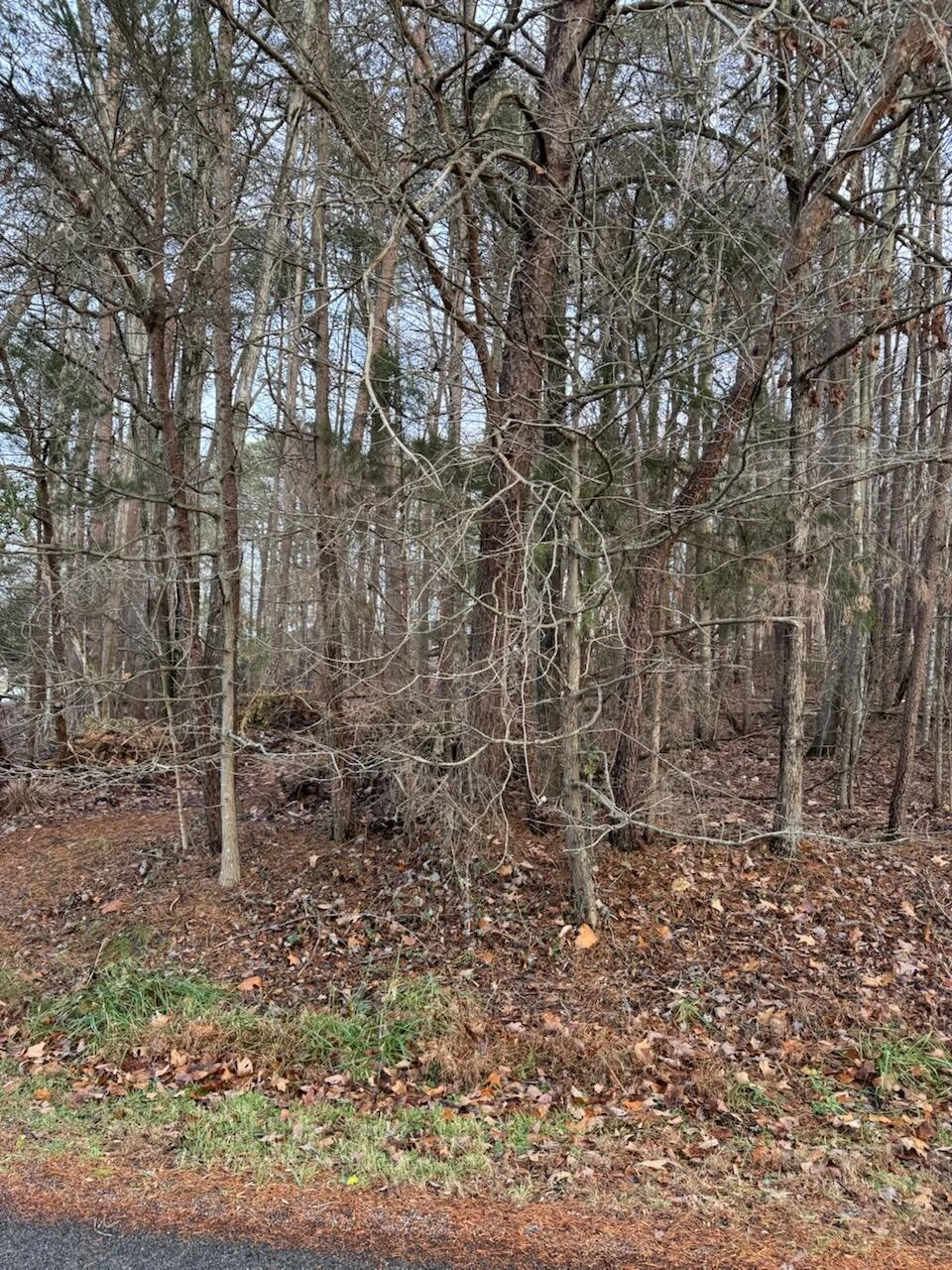 Lot 5 Highland Lake RD - Photo 6