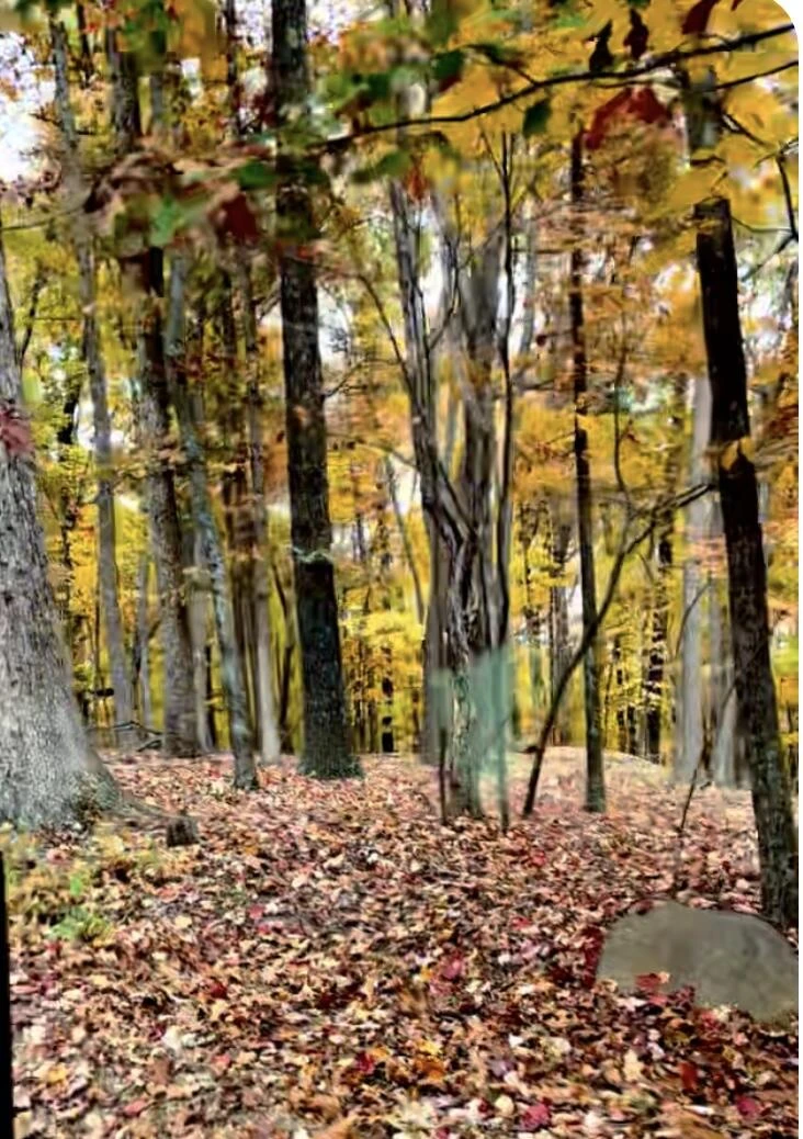 Lot 17 Vista PKWY