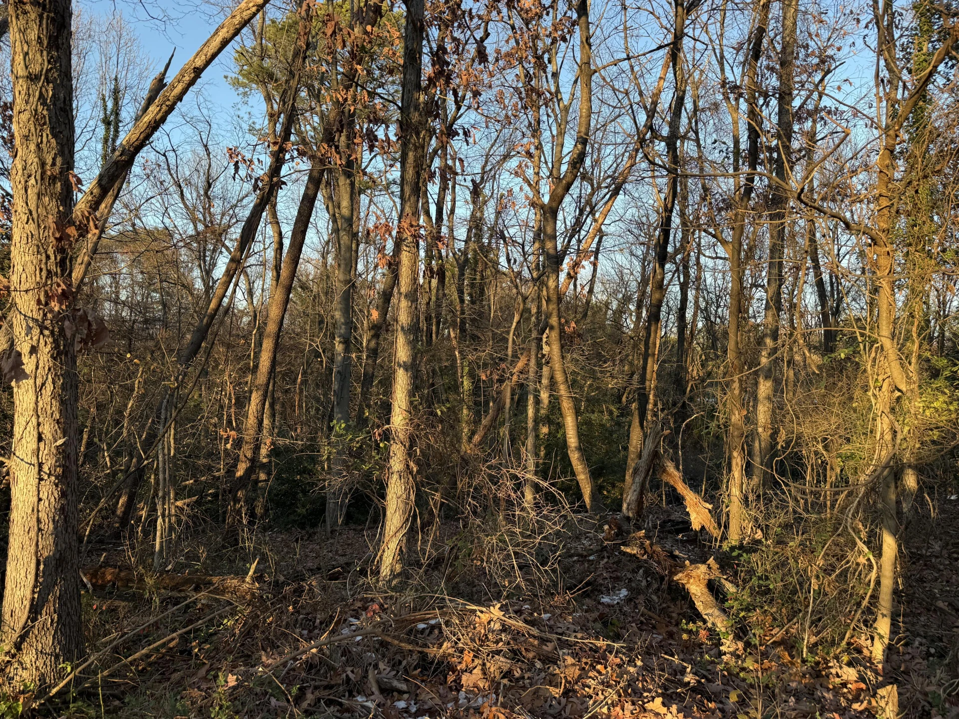 0 Panorama AVE NW - Photo 5