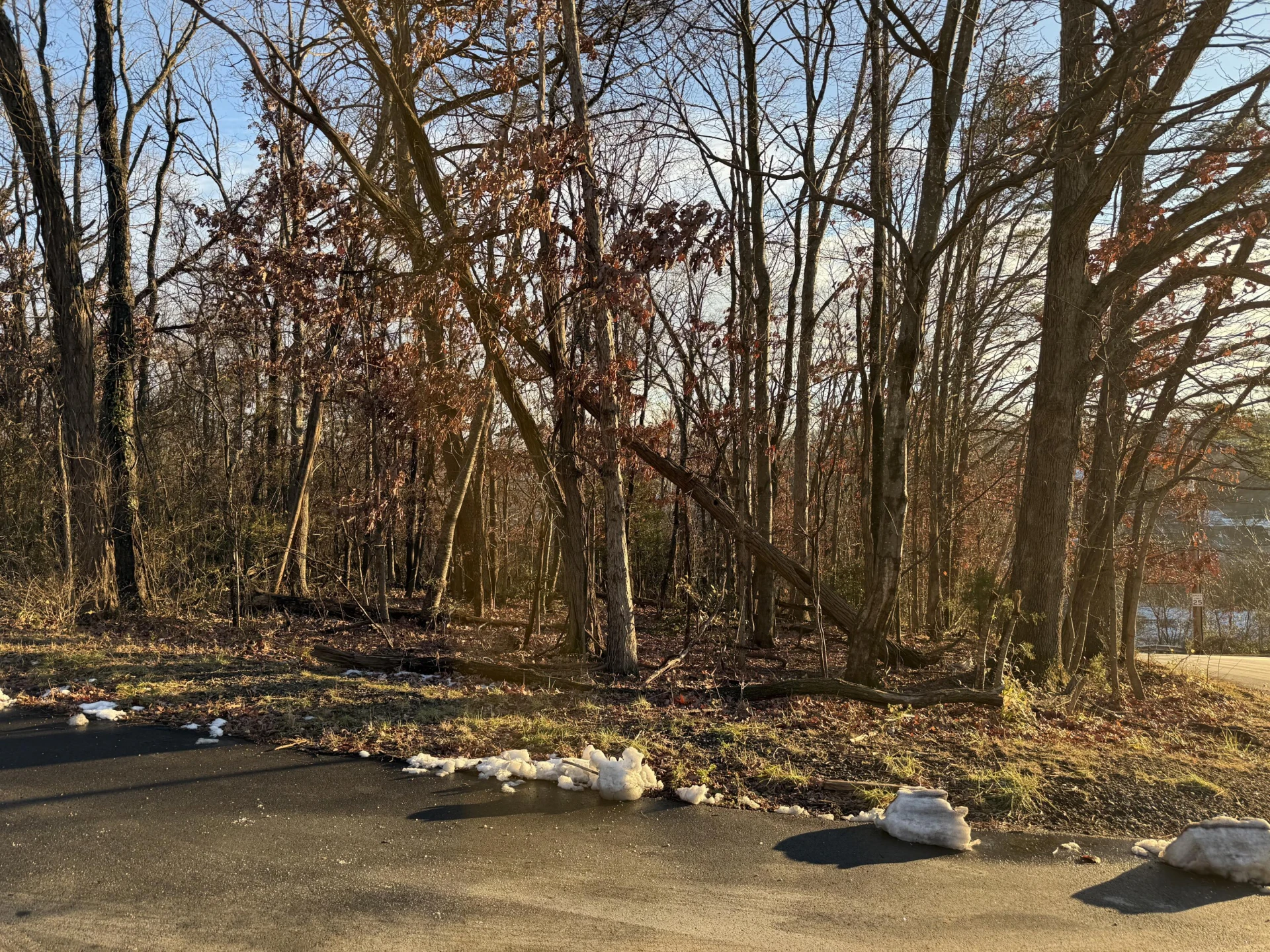 0 Panorama AVE NW - Photo 2