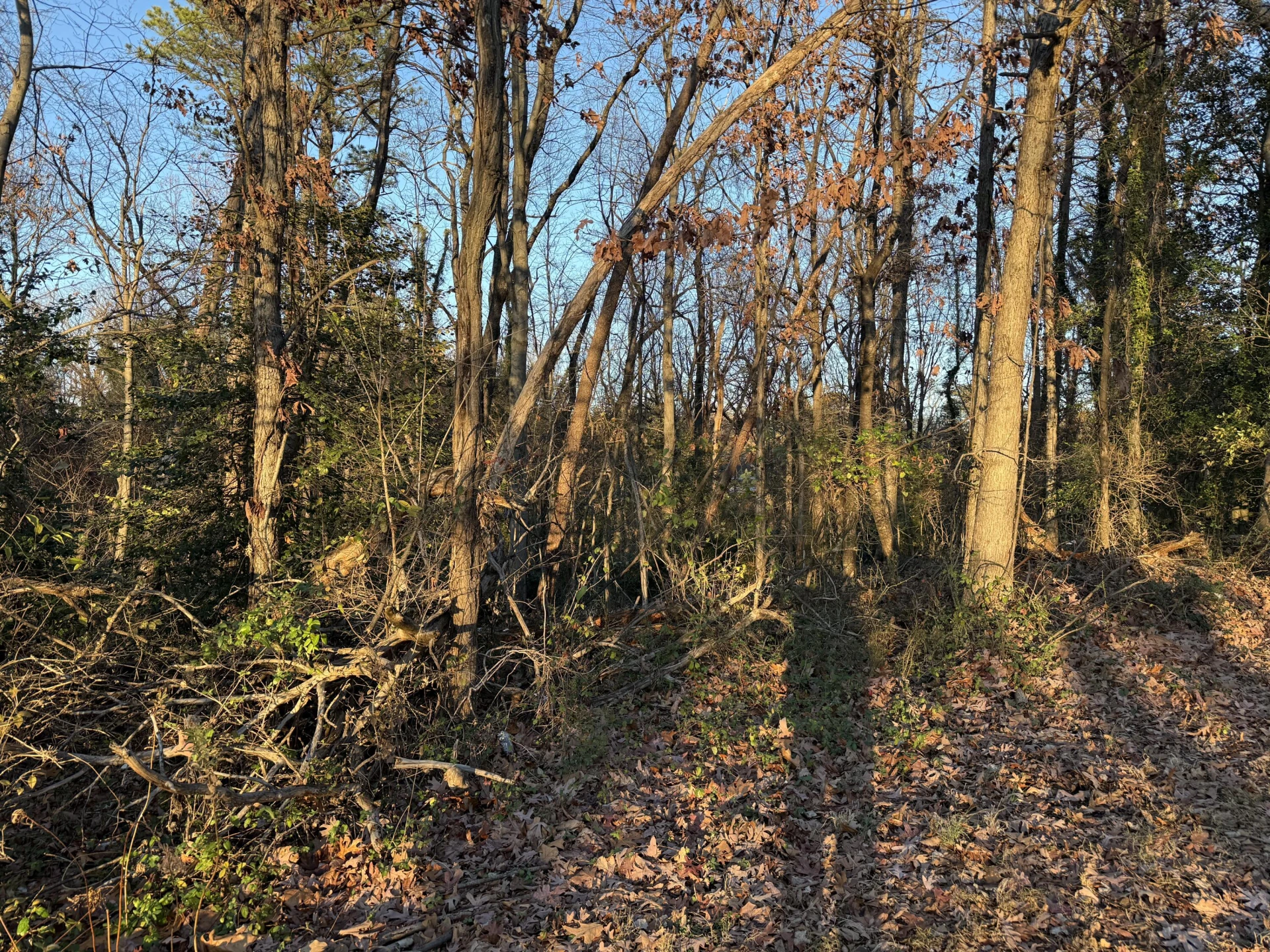 0 Panorama AVE NW - Photo 4