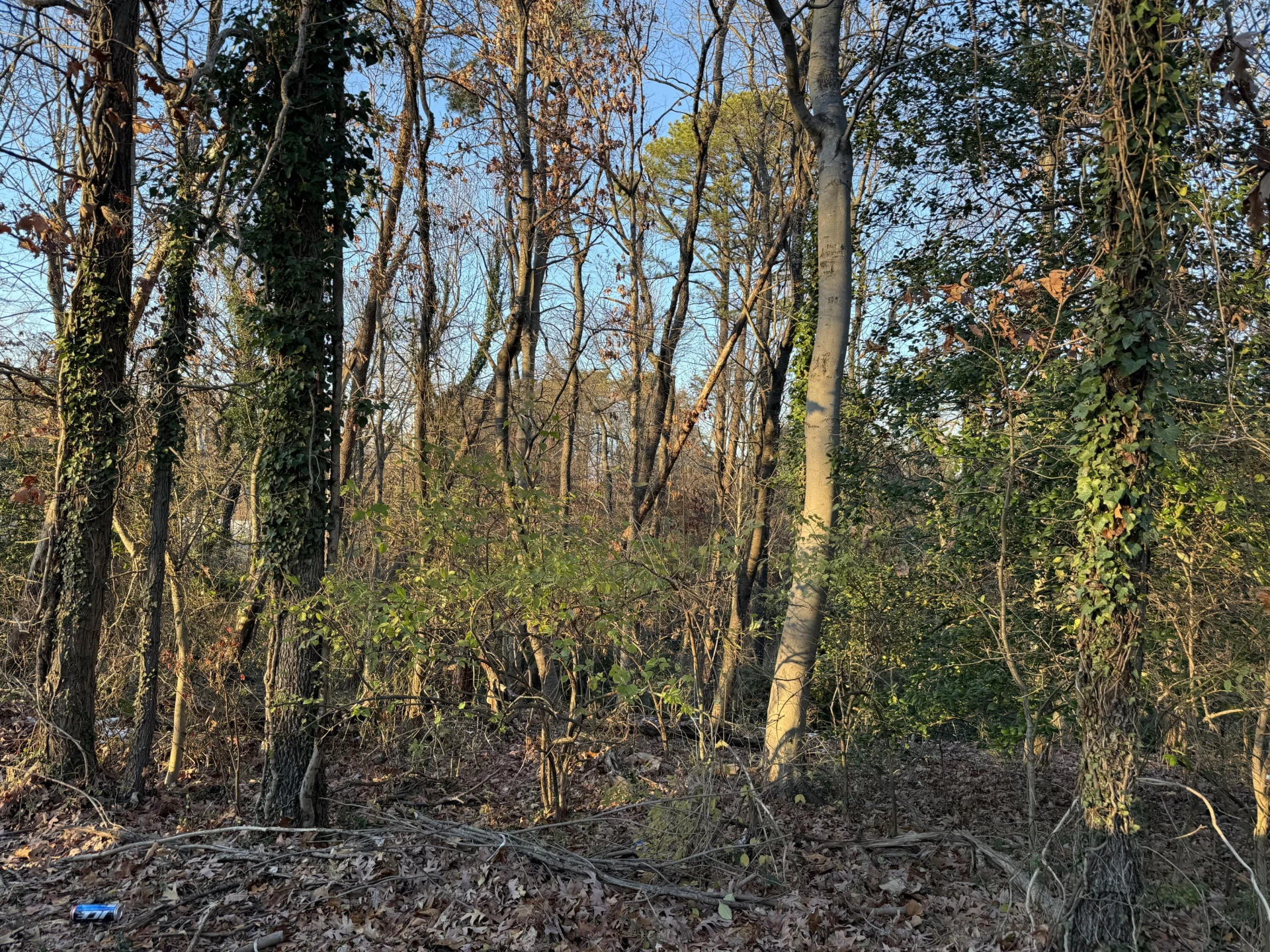 0 Panorama AVE NW - Photo 6
