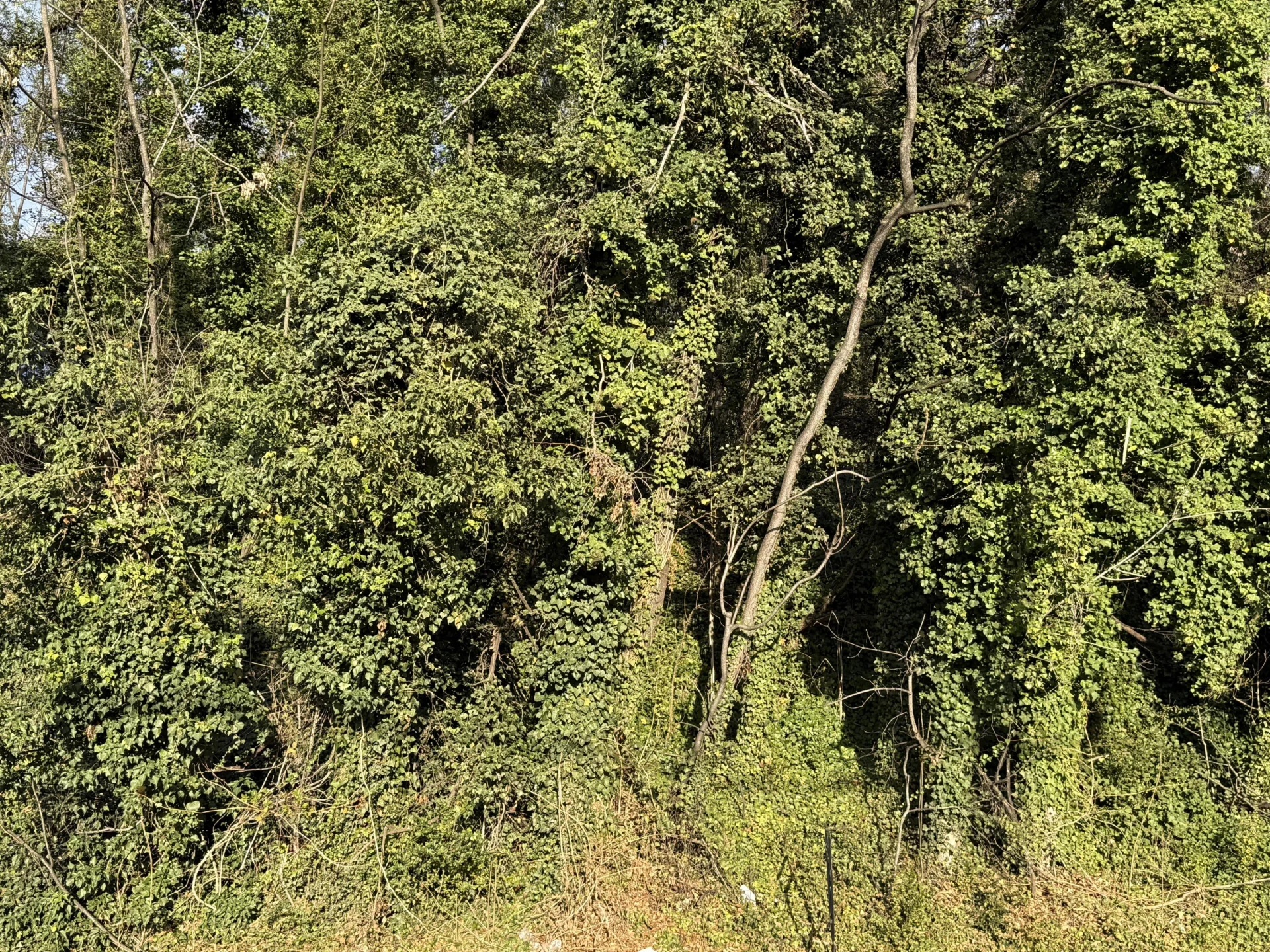 741 Moorman AVE NW - Photo 4