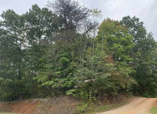 4603 Philpott DR, Bassett, VA, 24055