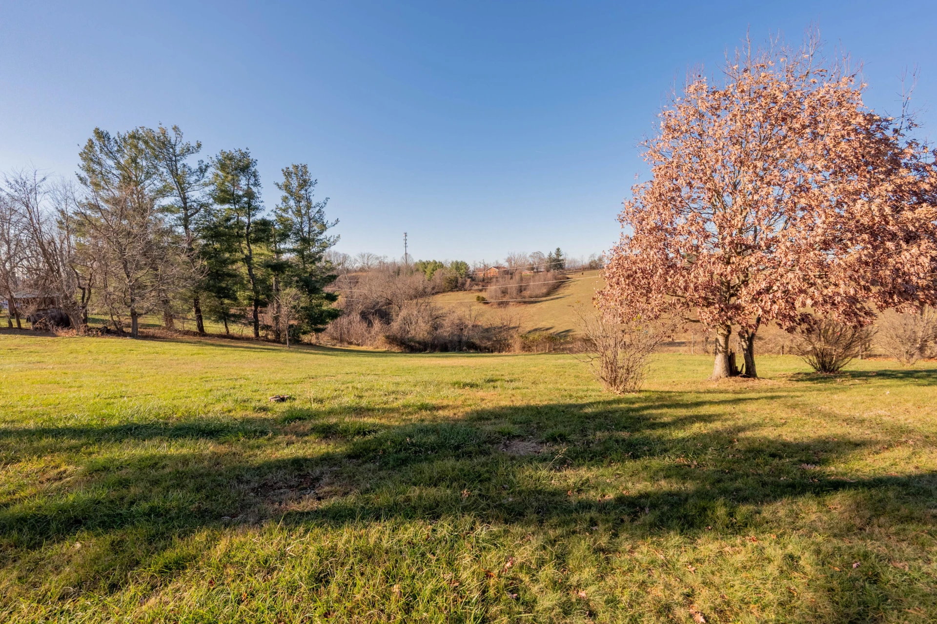 270 Dunlap DR - Photo 39
