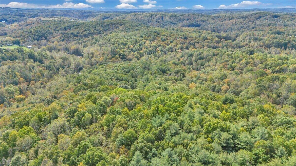 6973 Henry RD - Photo 60